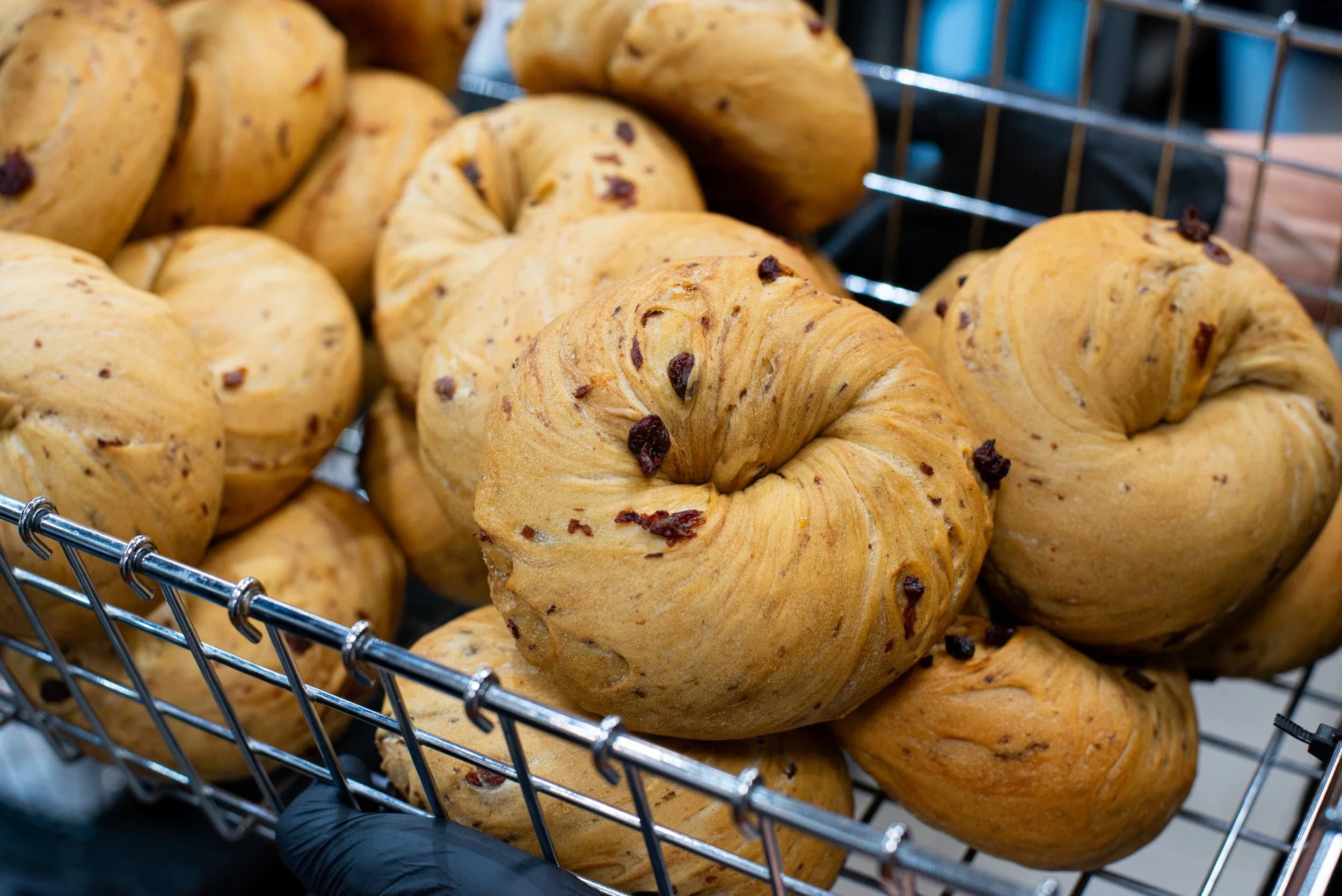 Dan's Bagels cold-fermented dough process