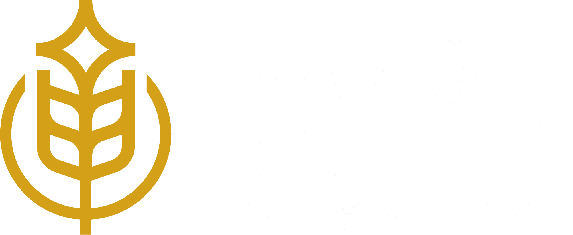 Dan's Bagels