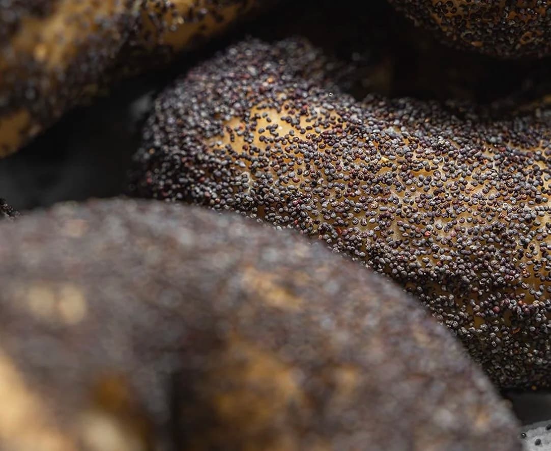 Close-up macro of a Dan's Bagels poppy seed bagel
